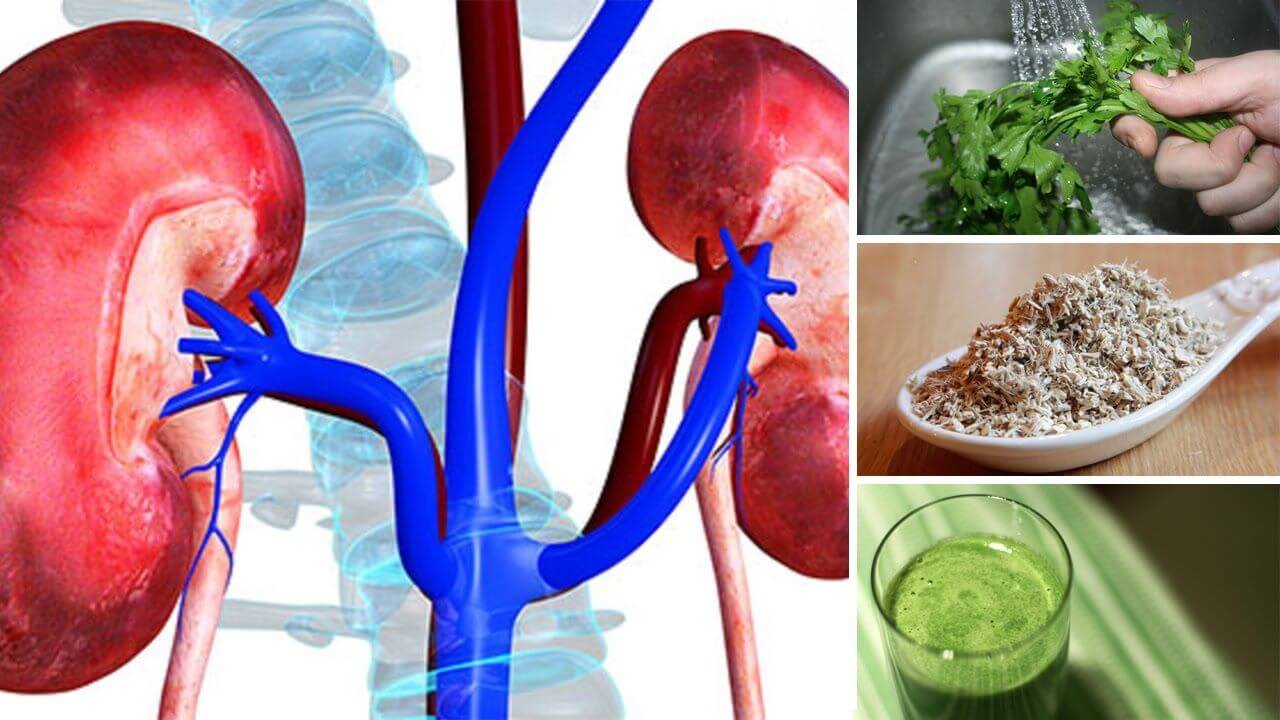 Managing Cholesterol for Kidney Disease Prevention