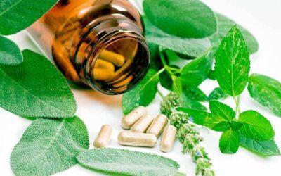 Homeopathy for Kidney Disease: A Guide to Natural Healing