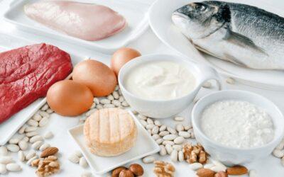 Is Protein Bad for Your Kidneys? Diet Impact Explained