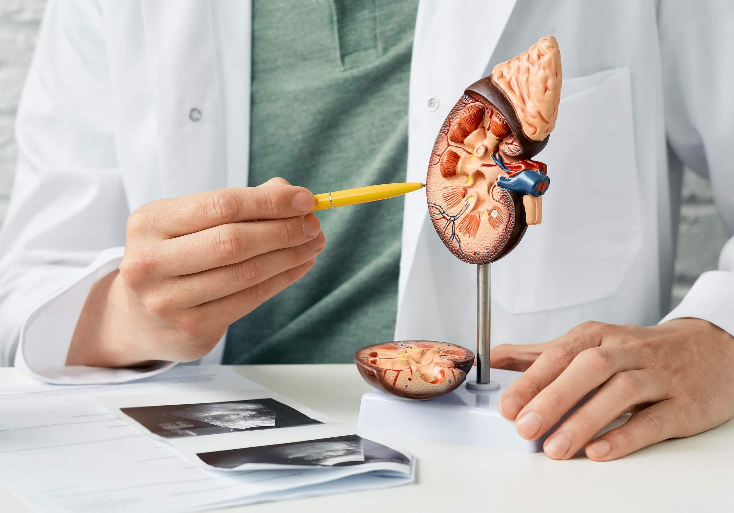 Lifestyle Modifications for Kidney Health Maintenance