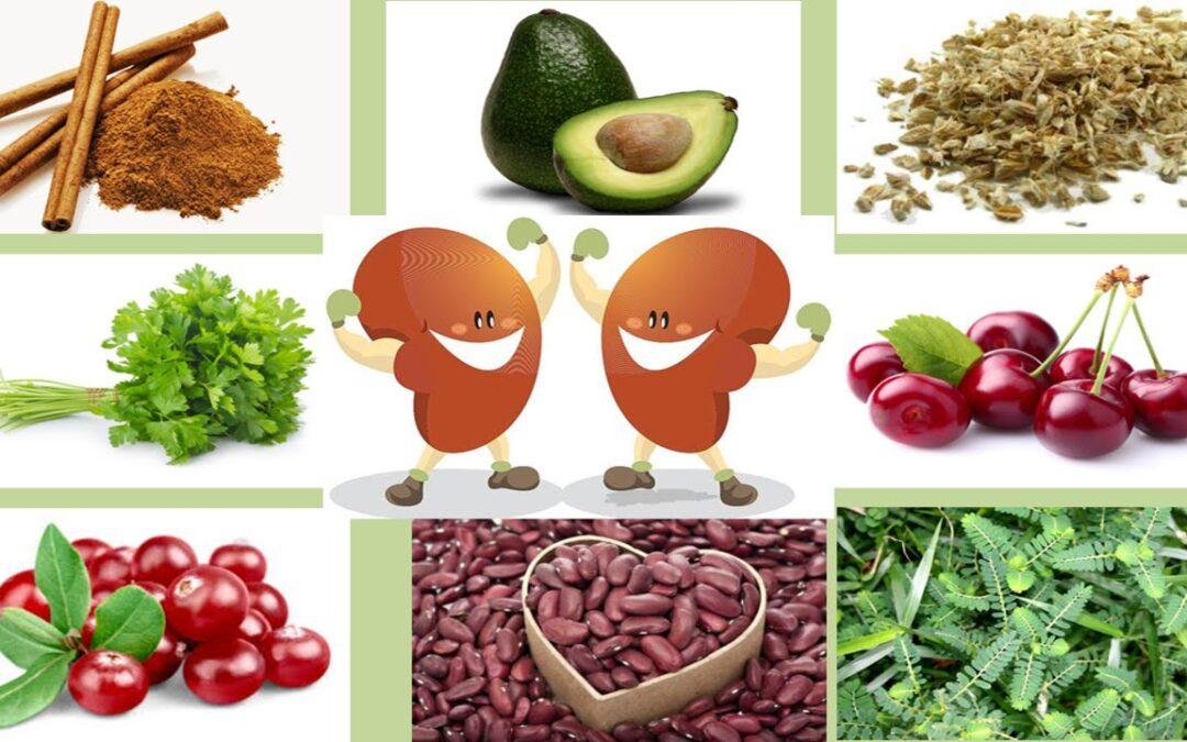 Revitalize Your Kidney Health with a Plant Based Kidney Diet