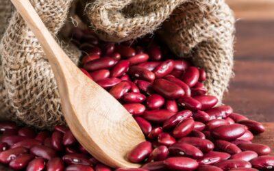 Boost Your Diet with Kidney Beans for Protein and Health