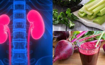 Low Protein Foods List for Kidney Disease Relief