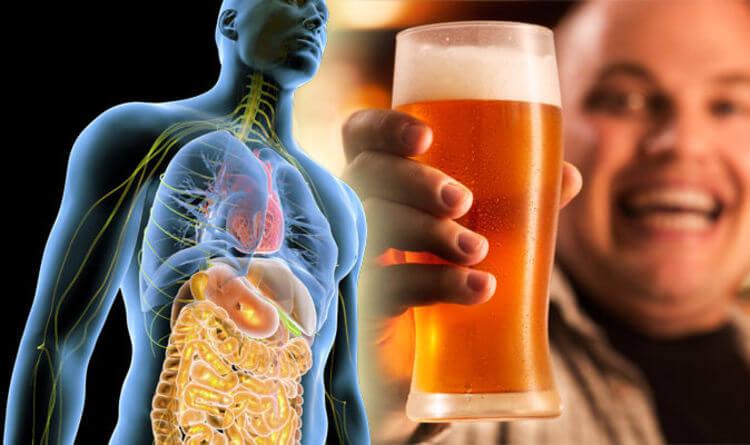 Alcohol Consumption's Effect on Renal Function 