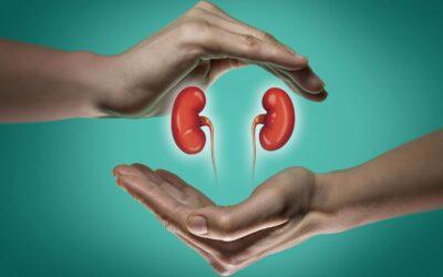 Can Magnesium Help Kidney Function?