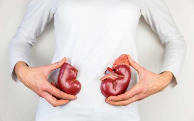 Busting Myths: Which is not a Function of the Kidneys