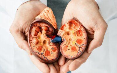 Avoiding Dialysis: If You Have Kidney Disease?