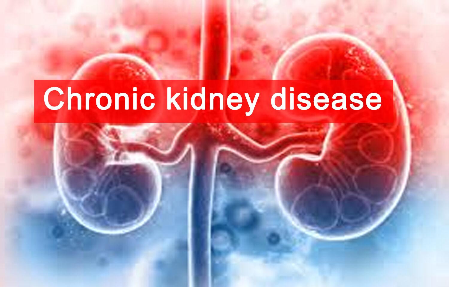 Does High Potassium Cause Kidney Damage