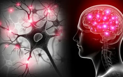 How Lupus Affects the Nervous System?