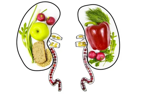 Kidney Function and Nutrients