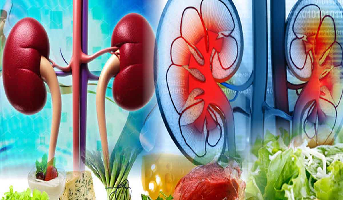Kidney Function and Nutrients