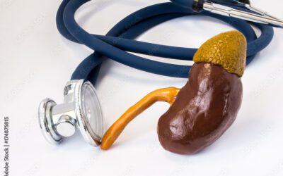 Blood Pressure Affects Kidneys