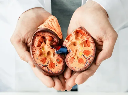 How Does Farxiga Work for Chronic Kidney Disease11
