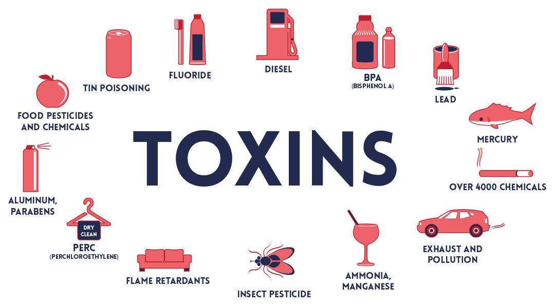 How Environmental Toxins Impact Our Health