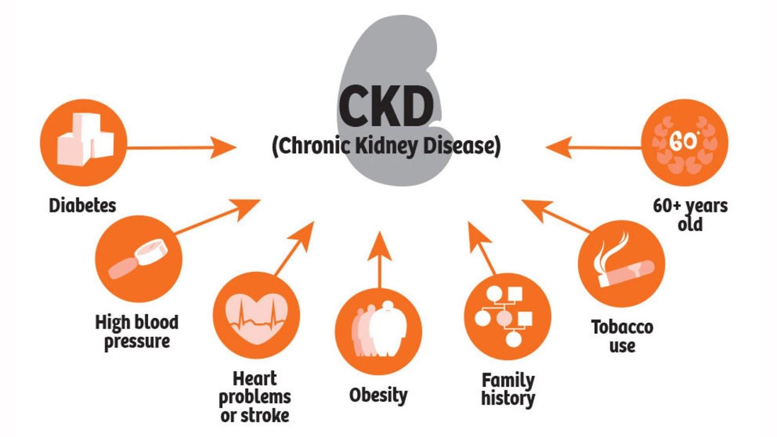 Is Chronic Kidney Disease Hereditary