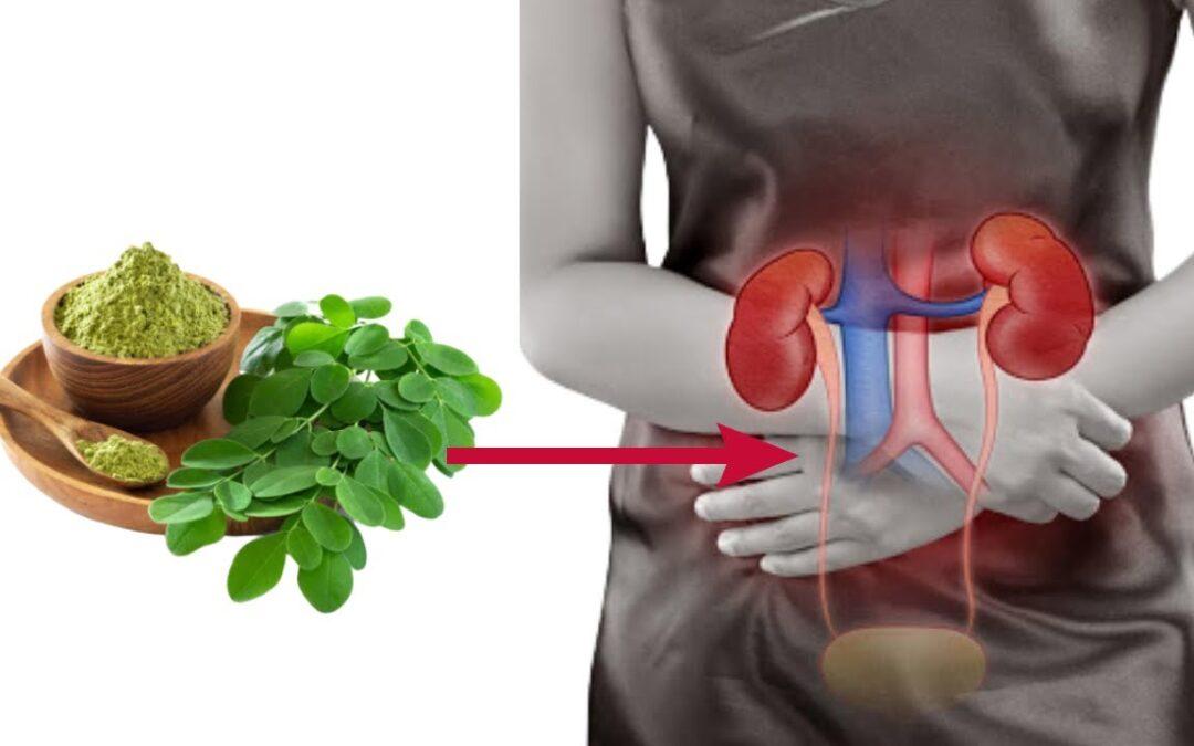 Is it safe to use herbal supplements if I have kidney disease?