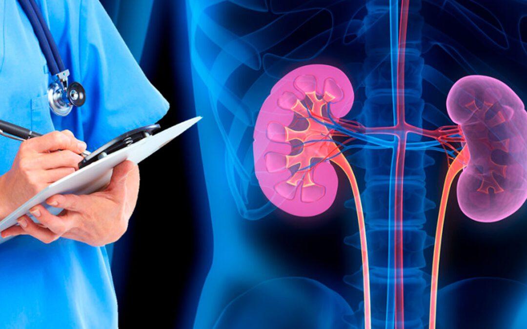 What is renal supportive care