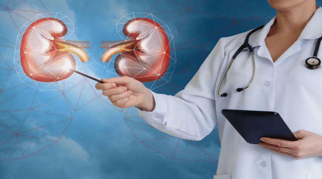 What is the difference between a nephrologist and a kidney specialist