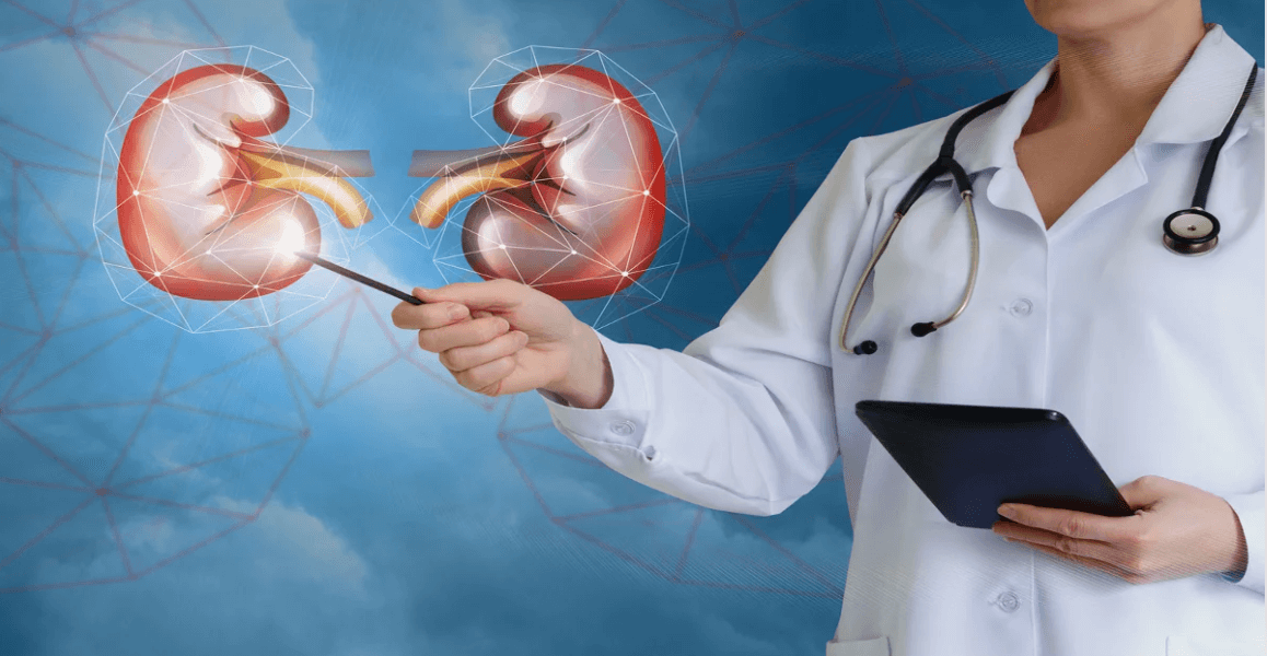 Difference Between a Nephrologist and a Kidney Specialist