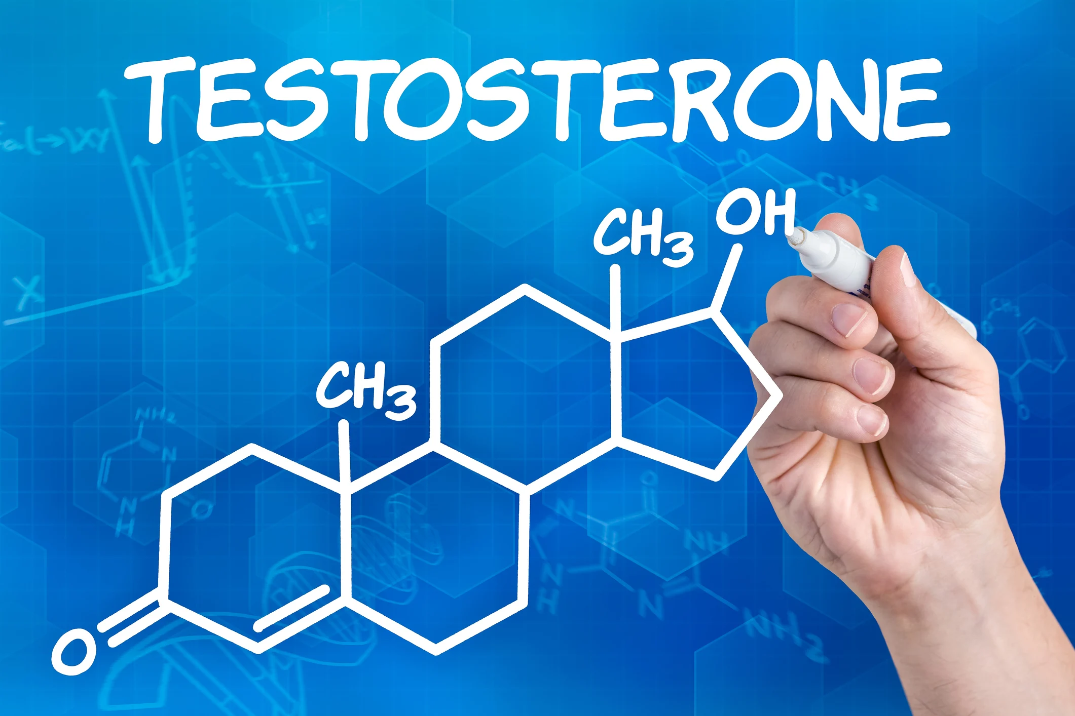 The role of testosterone in chronic kidney disease and kidney function