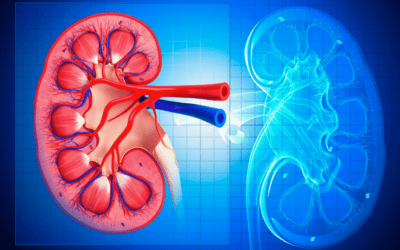 The Management of Rapidly Progressive Glomerulonephritis