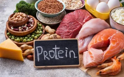 The Role Of Protein To Your Kidney