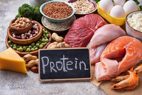 The role of protein to your kidney