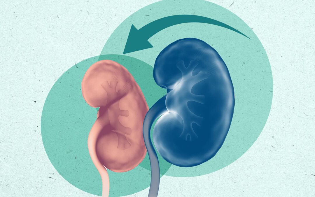 7 Ways to Keep Your Kidneys Healthy