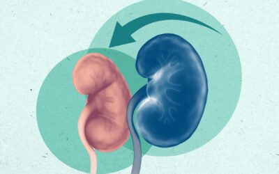 7 Ways to Keep Your Kidneys Healthy