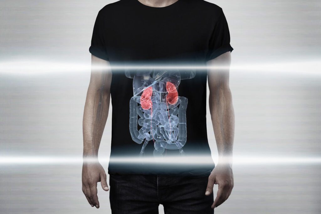 Other Environmental Factors Affecting Kidneys