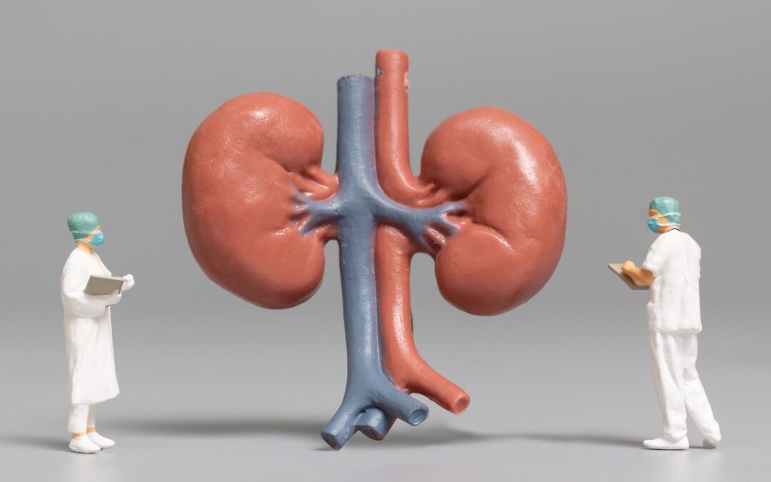 Top-rated Nephrologists Accepting New Patients in Houston