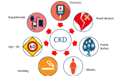 Can Holistic Kidney Care Help With Chronic Kidney Disease (CKD) in Houston?