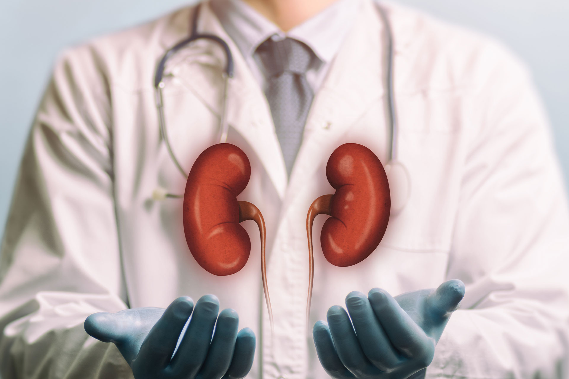 Chronic Kidney Disease Natural Medicine