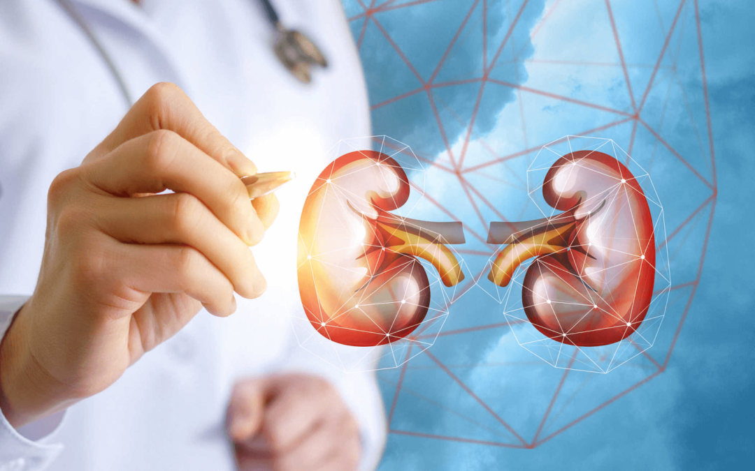 How Can I Improve My Kidney Health Using Holistic Methods In Houston