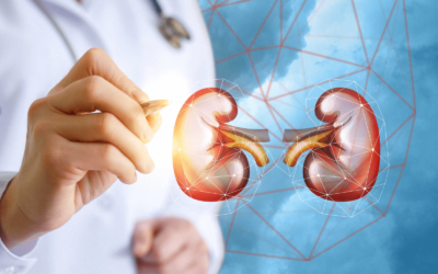 How Can I Improve My Kidney Health Using Holistic Methods In Houston?