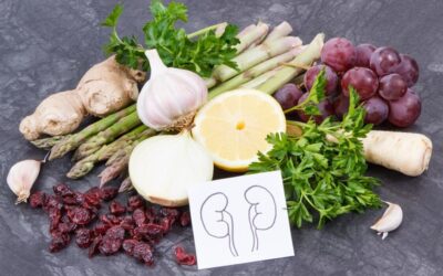 The Connection Between Nutrition And Kidney Health